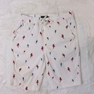 Men’s flamingo Modern Culture shorts